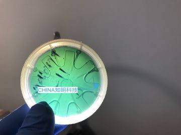 Goede prijs 2 van het Carbidewafeltje van het DUIM 6h-n Silicium het Type MPD 50cm 330um sic de Baren van Kristalwafeltjes online