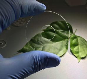 Goede prijs Hardheid 9,0 van de de Saffier de Optische Ring van Saffiercomponenten Weerstand Op hoge temperatuur van de het Glasschuring online