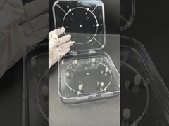 Verstelbare Waferdoos – Transparante PC Waferhouder voor Semiconductor Bescherming